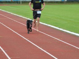 Spendenlauf 2024