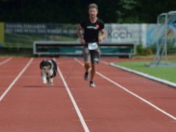 Spendenlauf 2025