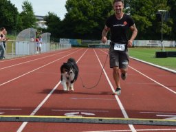Spendenlauf 2025