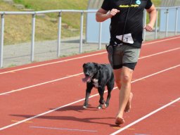 Spendenlauf 2025